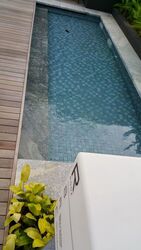 The Siena (D10), Apartment #558617431